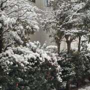 ヒメ日記 2026/02/08 12:13 投稿 かな DEEP BLACK