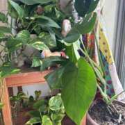 ヒメ日記 2026/04/14 10:33 投稿 かな DEEP BLACK