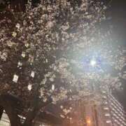 ヒメ日記 2026/03/24 10:37 投稿 かな ローズ～ミドルエイジ～