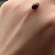 てん 最近の『てん』のお話 制服これくしょん