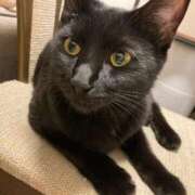 ヒメ日記 2026/01/29 23:07 投稿 ねる しろうとCollection