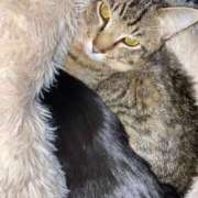 ヒメ日記 2026/01/30 06:17 投稿 ねる しろうとCollection