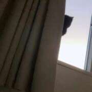 ヒメ日記 2026/02/01 09:27 投稿 ねる しろうとCollection