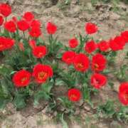 ヒメ日記 2026/02/04 15:47 投稿 ねる しろうとCollection