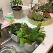 ヒメ日記 2026/02/11 09:17 投稿 ねる しろうとCollection