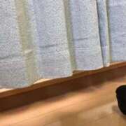 ヒメ日記 2026/02/12 16:27 投稿 ねる しろうとCollection