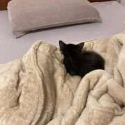 ヒメ日記 2026/02/14 09:07 投稿 ねる しろうとCollection