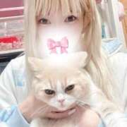 ヒメ日記 2026/01/27 20:55 投稿 ねこ SS PERO PERO NINE