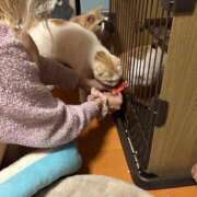 ヒメ日記 2026/01/30 06:31 投稿 ねこ SS PERO PERO NINE