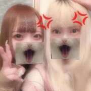 ヒメ日記 2026/01/30 21:21 投稿 ねこ SS PERO PERO NINE