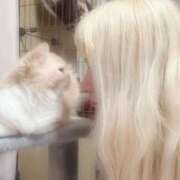 ヒメ日記 2026/01/31 19:58 投稿 ねこ SS PERO PERO NINE