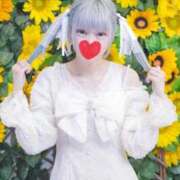 ヒメ日記 2026/02/05 19:01 投稿 ねこ SS PERO PERO NINE