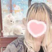 ねこ SS 最終日ラス枠120分ありがとうございます♥️ PERO PERO NINE