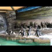 ヒメ日記 2026/02/01 12:38 投稿 えみ 上野デリヘル倶楽部