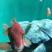 ヒメ日記 2026/02/11 11:15 投稿 えみ 上野デリヘル倶楽部