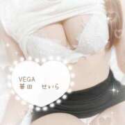 華田 せいら 感謝🧸ྀི🤎 Men's relaxation VEGA