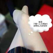 ヒメ日記 2026/02/09 04:08 投稿 あん ハンドキャンパス新宿