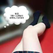 ヒメ日記 2026/02/12 07:43 投稿 あん ハンドキャンパス新宿