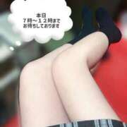 ヒメ日記 2026/02/19 08:22 投稿 あん ハンドキャンパス新宿