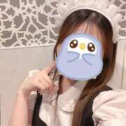 ヒメ日記 2026/01/31 16:40 投稿 にに【清楚系いちゃいちゃ美女】 STELLA TOKYO－ステラトウキョウ－