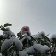 ヒメ日記 2026/02/09 23:26 投稿 にに【清楚系いちゃいちゃ美女】 STELLA TOKYO－ステラトウキョウ－