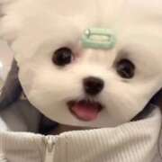 ヒメ日記 2026/02/20 10:13 投稿 にに【清楚系いちゃいちゃ美女】 STELLA TOKYO－ステラトウキョウ－