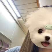 ヒメ日記 2026/03/13 11:44 投稿 にに【清楚系いちゃいちゃ美女】 STELLA TOKYO－ステラトウキョウ－