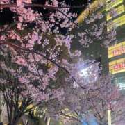 ヒメ日記 2026/03/27 12:38 投稿 にに【清楚系いちゃいちゃ美女】 STELLA TOKYO－ステラトウキョウ－
