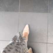 ヒメ日記 2026/04/06 14:11 投稿 にに【清楚系いちゃいちゃ美女】 STELLA TOKYO－ステラトウキョウ－