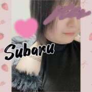 ヒメ日記 2026/02/10 17:00 投稿 恋川　すばる エテルナ京都