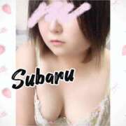 ヒメ日記 2026/02/19 08:45 投稿 恋川　すばる エテルナ京都