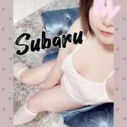 ヒメ日記 2026/03/16 08:39 投稿 恋川　すばる エテルナ京都