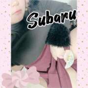 ヒメ日記 2026/03/20 11:14 投稿 恋川　すばる エテルナ京都