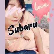 ヒメ日記 2026/03/28 08:21 投稿 恋川　すばる エテルナ京都