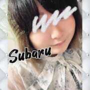 ヒメ日記 2026/04/02 07:56 投稿 恋川　すばる エテルナ京都