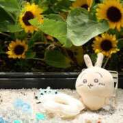 恋川　すばる ⚠️出勤は当日に エテルナ京都