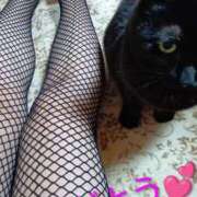 ヒメ日記 2026/02/04 15:26 投稿 たえこ 熟女総本店 日本橋ミナミエリア店