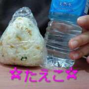 ヒメ日記 2026/02/19 10:26 投稿 たえこ 熟女総本店 日本橋ミナミエリア店