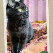 ヒメ日記 2026/03/11 21:06 投稿 たえこ 熟女総本店 日本橋ミナミエリア店