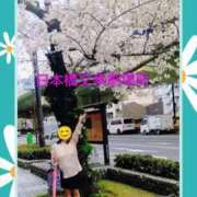 ヒメ日記 2026/03/31 18:46 投稿 たえこ 熟女総本店 日本橋ミナミエリア店