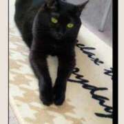 ヒメ日記 2026/04/09 19:29 投稿 たえこ 熟女総本店 日本橋ミナミエリア店