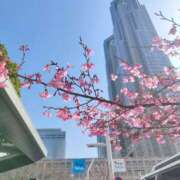 りず ふわふわ 錦糸町ミセスアロマ（ユメオト）