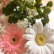 ヒメ日記 2026/02/04 14:06 投稿 優華(ゆか) 人妻出逢い会 百合の園 品川店