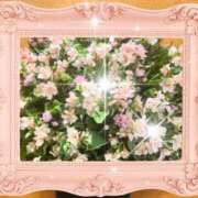 ヒメ日記 2026/03/16 12:25 投稿 優華(ゆか) 人妻出逢い会 百合の園 品川店