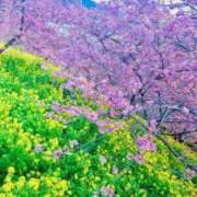 ヒメ日記 2026/03/19 12:26 投稿 優華(ゆか) 人妻出逢い会 百合の園 品川店