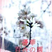 ヒメ日記 2026/03/19 17:06 投稿 優華(ゆか) 人妻出逢い会 百合の園 品川店