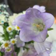 ヒメ日記 2026/04/16 17:46 投稿 優華(ゆか) 人妻出逢い会 百合の園 品川店