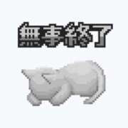 ヒメ日記 2026/02/07 12:52 投稿 白乃しなの＠致死量の聖水美少女 アナラードライ