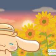 ヒメ日記 2026/09/02 11:39 投稿 ひまり 奥鉄オクテツ大阪