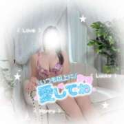 ヒメ日記 2026/02/12 16:04 投稿 小泉めい こあくまな熟女たち 金沢店(KOAKUMAグループ)